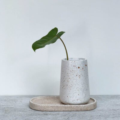 Vase Classic Size M + Oval Tray