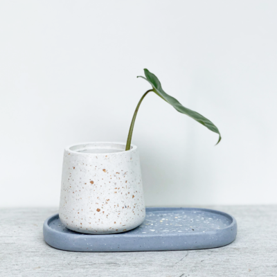 Vase Classic Size S + Oval Tray