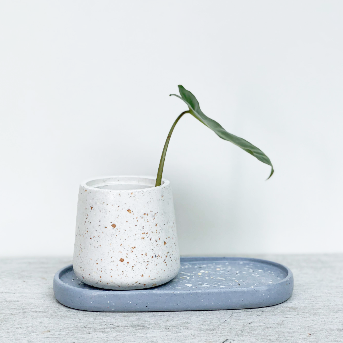 Vase Classic Size S + Oval Tray